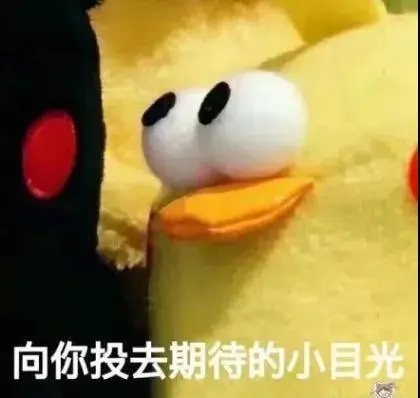 1598325045707195.jpg 640.webp.jpg