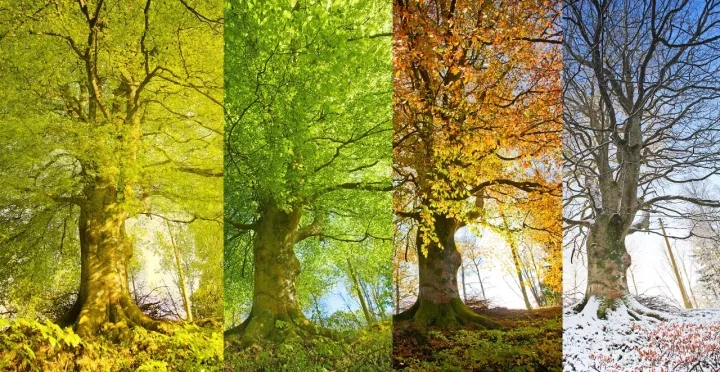 1606005931873111.jpg 640.webp (1).jpg